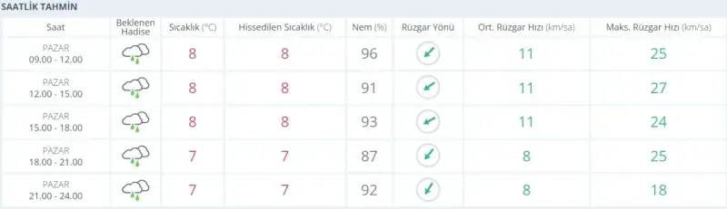 Kocaeli'de bugün hava nasıl olacak? (29 Aralık 2024)